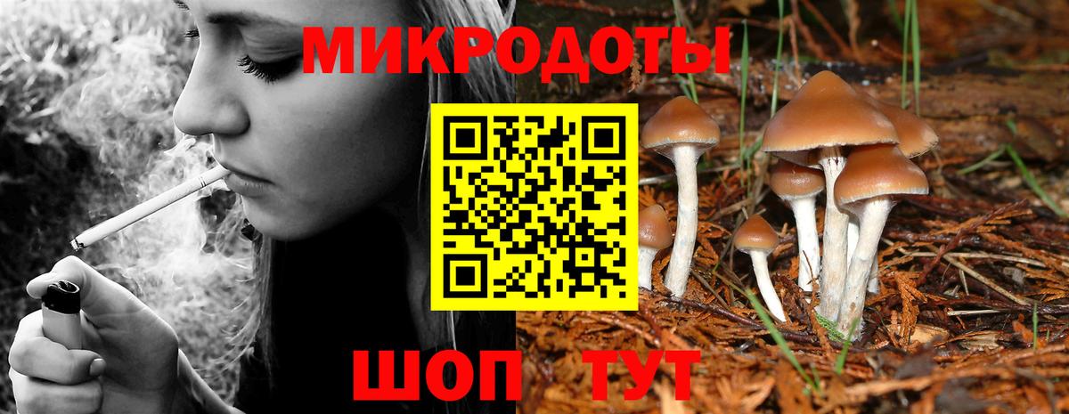 Галлюциногенные грибы Magic Shrooms Карпинск