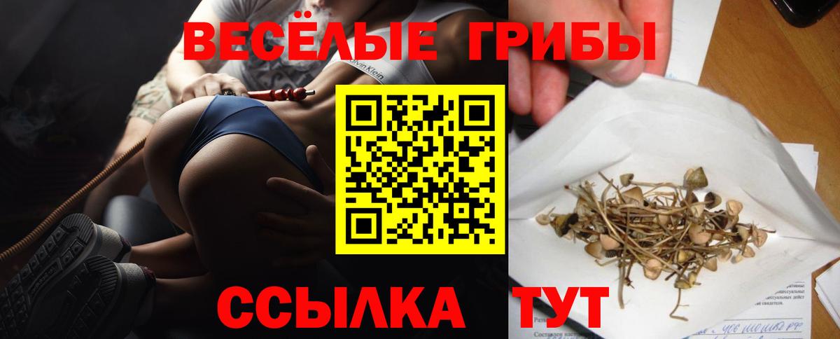 Псилоцибиновые грибы Psilocybine cubensis  Карпинск  Галлюциногенные грибы мухоморы 